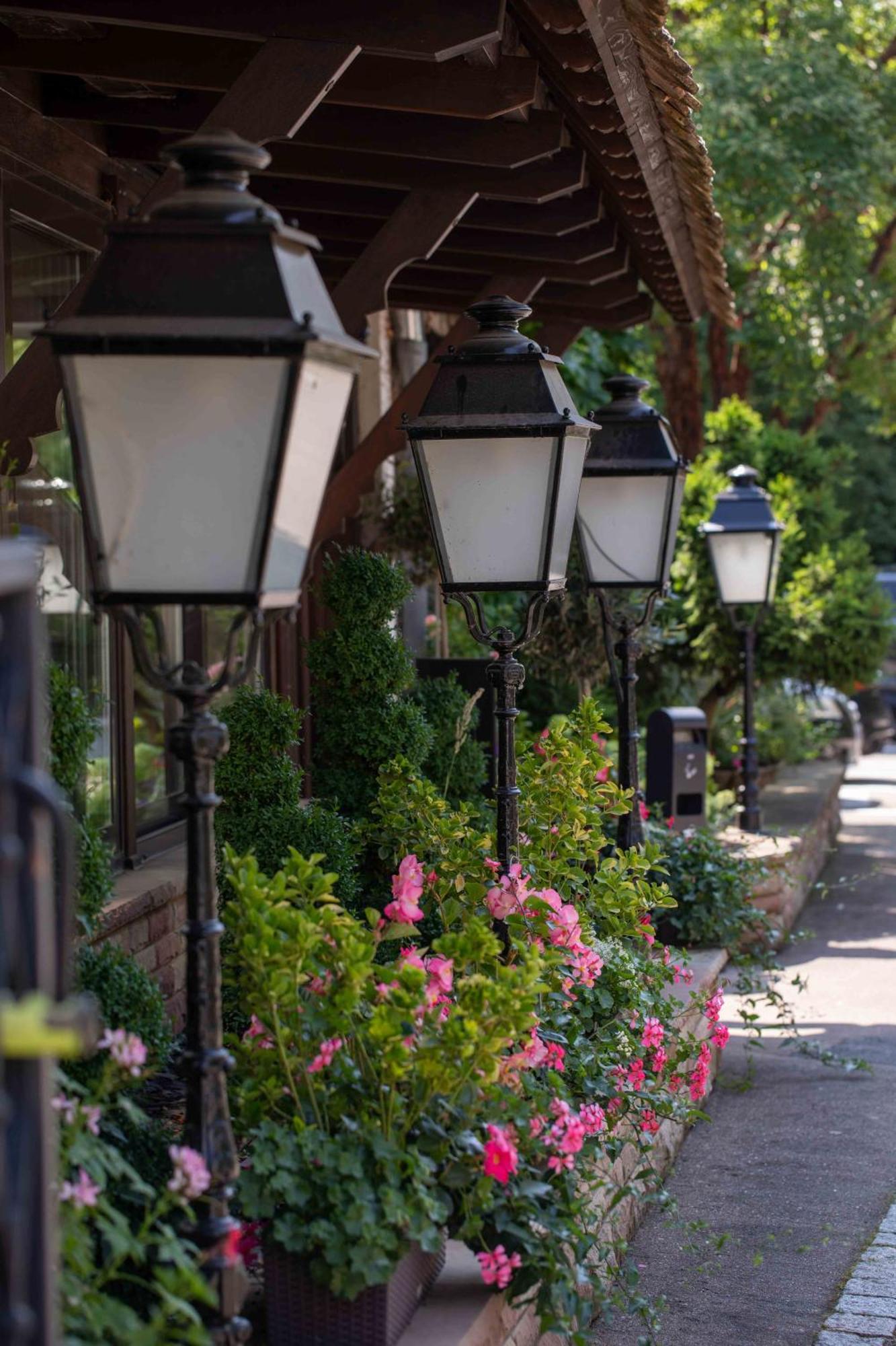 Hotel Restaurant Au Boeuf Blaesheim Zewnętrze zdjęcie